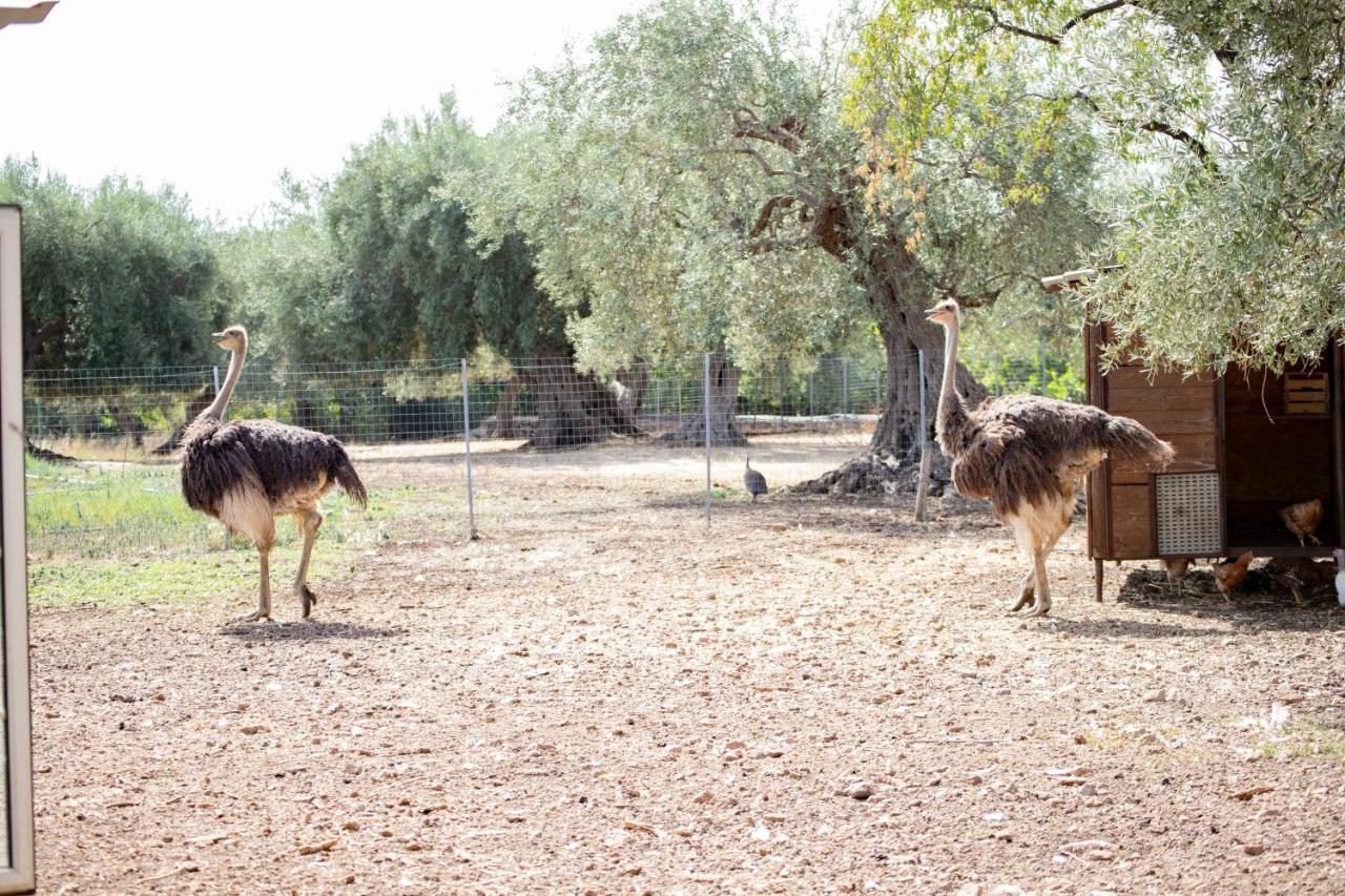 Il Vecchio Frantoio Villa Augusta Bagian luar foto