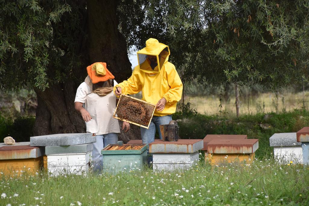 Il Vecchio Frantoio Villa Augusta Bagian luar foto